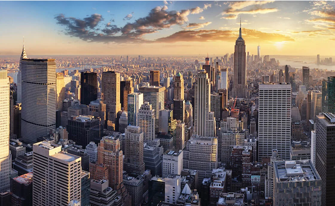 Contact-New-York